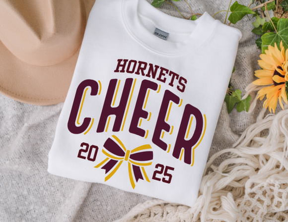Hornets Cheer 2025