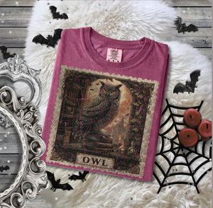 Owl