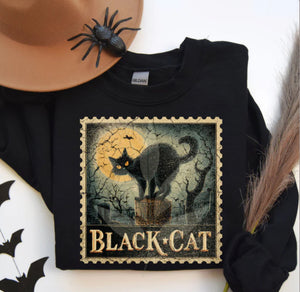 Black cat