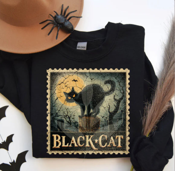 Black cat
