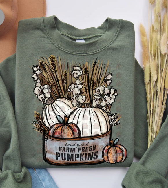 White farm fresh pumpkins