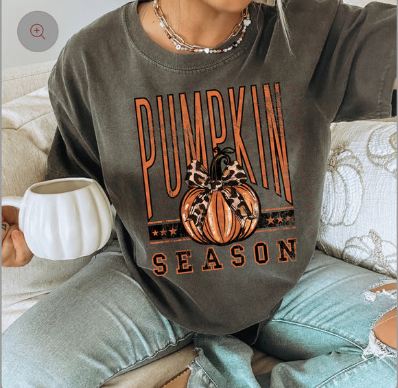 Cheetah Pumpkin Season