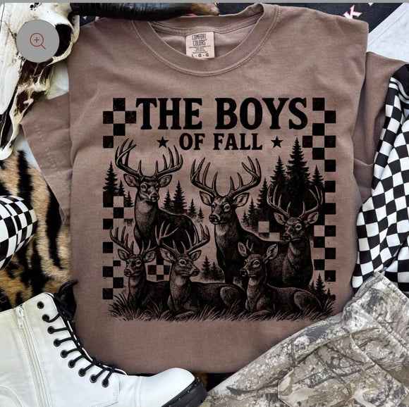 Boys of Fall