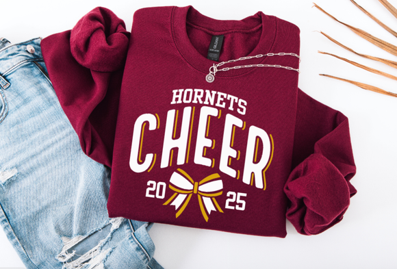 Hornets Cheer 2025